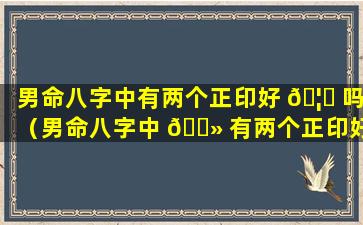 男命八字中有两个正印好 🦁 吗（男命八字中 🌻 有两个正印好吗婚姻如何）